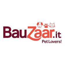 Bauzaar